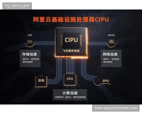 探秘云开官网登录流程，助您快速体验优质云计算服务