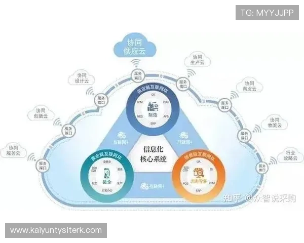 开云体育娱乐app安全风险评估与管理策略，降低潜在威胁影响